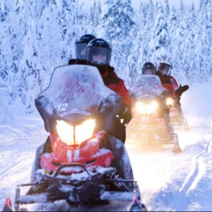 Snowmobile Safari